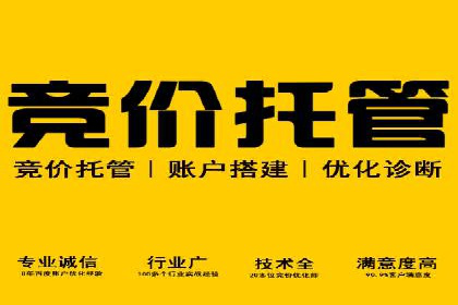 SEM优化公司案例解析：如何快速提升网站流量